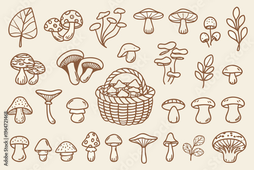 A collection of hand drawn mushrooms leaves and a woven basket