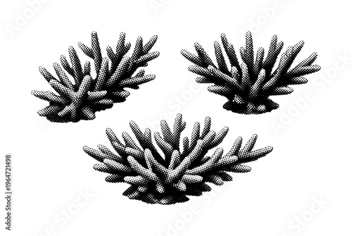 Staghorn coral angled orientation. A realistic staghorn coral is presented as one object shown in three angled views emphasizing overall volume, branching