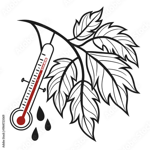 Thermometer and leaf with water droplets temperature heat