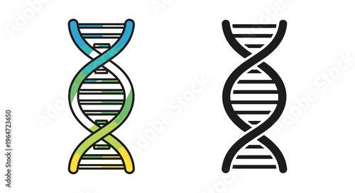 DNA double helix vector icons, scientific genetic spiral symbols in color and black line art, biotechnology and medical research illustrations