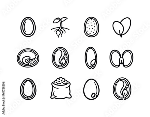 Seed Structure. Line icon set of Seed Structure: seed coat, embryo plant, endosperm tissue, cotyledon leaf, seed cross diagram, internal seed parts, monocot