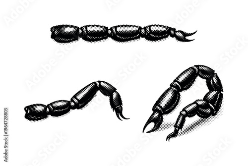Emperor scorpion walking legs A realistic emperor scorpion walking leg set represented as one object in three views: top view, side profile view, and angled