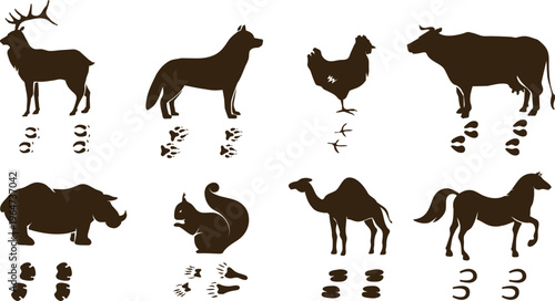 Collection of eight different animal silhouettes and corresponding track footprints illustrations set
