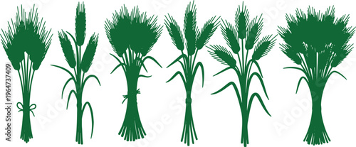 Stylized green wheat bundles and various cereal crops silhouette set vector graphic