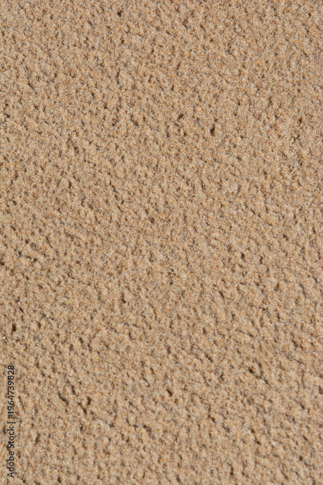 Fototapeta premium Uniform Texture of Beach Sand.