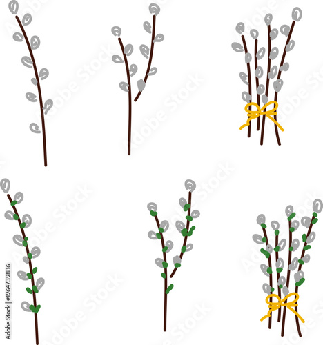 Hand drawn verba, pussy willow branches with soft buds in doodle style. Spring botanical illustration isolated on white background, for Easter design, greeting cards, invitations, seasonal decor