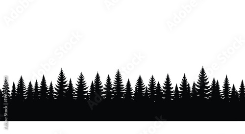Dense forest of evergreen trees against a white background silhouette