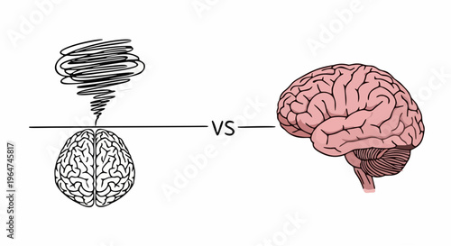 Concept of brainstorming vs structured thinking, human brain side view and top view with tornado swirl, vector illustration.