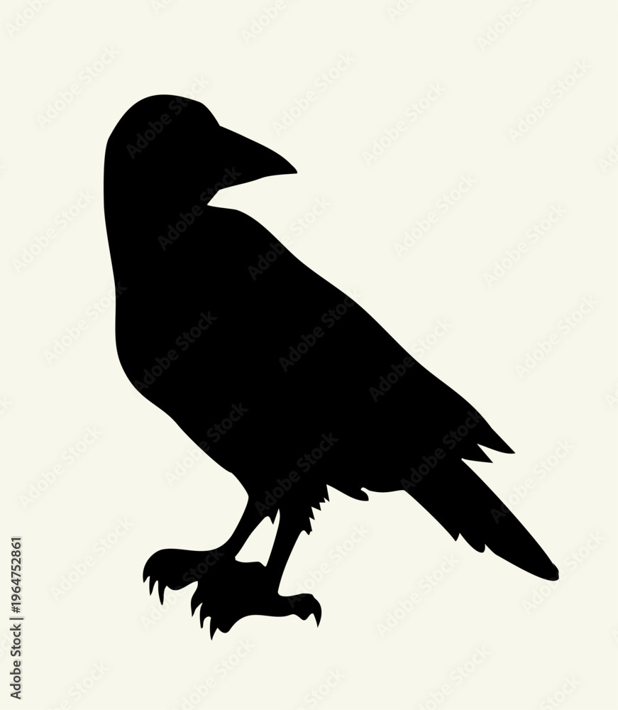 Naklejka premium Vector drawing. Old big crow