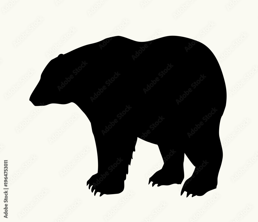 Obraz premium Vector drawing. Big polar bear