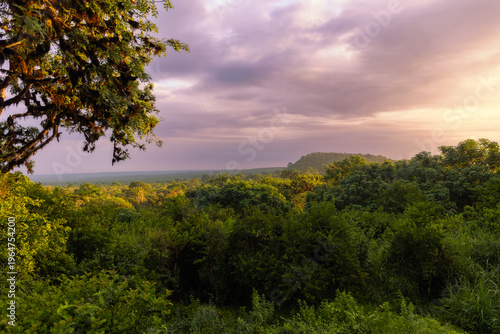 Peaceful sunrise over the Highlands of Santa Cruz in the Galapagos Islands -Galapagos Safari Camp