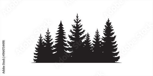 Pine trees silhouettes. Evergreen coniferous forest silhouette, nature spruce tree park view vector illustration. Coniferous woods silhouette