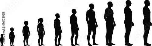 Human growth progression from childhood to adulthood, silhouette illustration of aging, people development stages, life evolution, body height increase