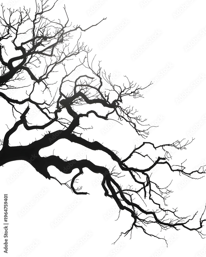 Obraz premium Tree branch silhouette forming organic lines isolated on white background