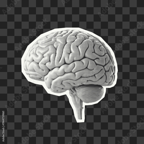Halftone human brain cutout isolated on transparent background. Perfect for psychology, neuroscience, mental health, education, mixed media collages