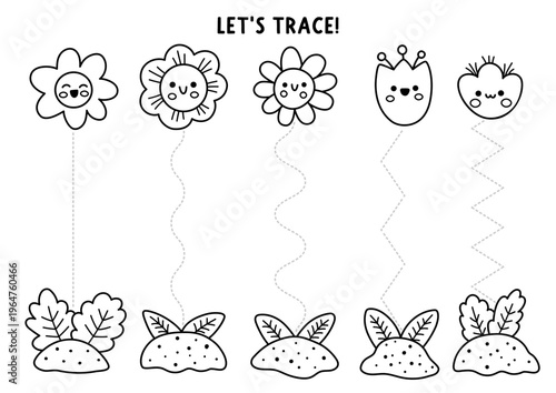 Vector black and white garden handwriting practice worksheet, coloring page with growing flowers. Preschool drawing printable activity. Spring line tracing game for writing skills with plants