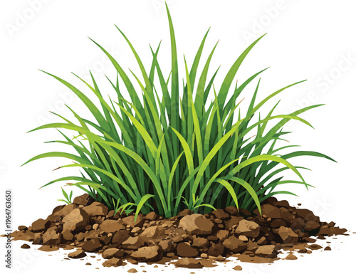 Generate a realistic grass isolated on white background Green grass foliage growing on natural soil and dirt field background. vector art with white background.