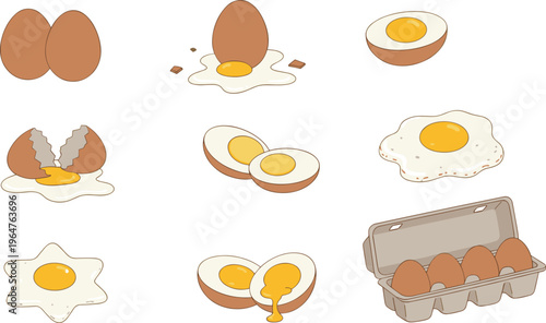 Vector illustration set of brown chicken eggs in carton box fried eggs sunny side up and boiled eggs isolated on white background