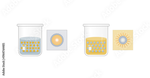 Emulsion types, a mixture of two immiscible liquids (oil and water), Emulsion oil in water, water in oil Immiscible liquids. Emulsifier types, structure. Vector illustration.