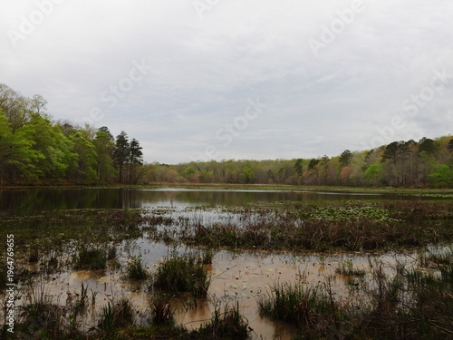 Принти на полотні The natural beauty of Beaver Lake on a cloudy day