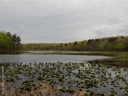 Canvastavla The natural beauty of Beaver Lake on a cloudy day