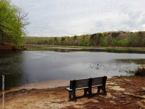 Foto Visitors can sit and ponder over the scenic beauty of Beaver Lake, within the Pocahontas State Park, Chesterfield County, Virginia