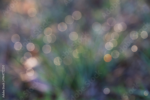 Abstract Bokeh Background in earth tones, circles of golden light in a blurred  background of greens, browns and blues