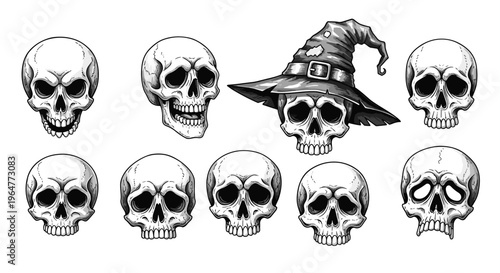 Nine detailed human skulls, one wearing a witch's hat, are arranged with various expressions on a plain white background.