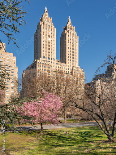 Spring in Central Park: Okame Cherry blossoms and Art Deco building on the Upper West Side's Central Park West Historic District. Manhattan, New York City