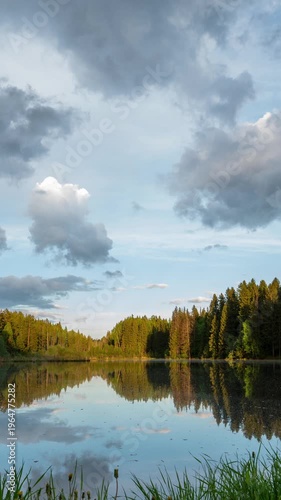 Forest Lake Reflection Vertical Video Scenic Nature Landscape with Clouds and Sky