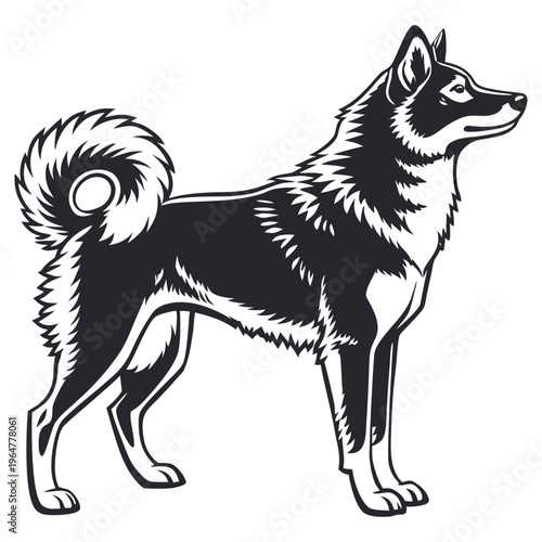 Shiba inu dog silhouette isolated on transparent background vector graphic art.ai