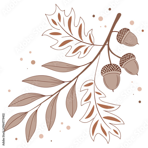 Branch with acorns and leaves in brown color tree nature
