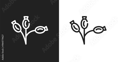 Rosa canina icon. Linear black, white icon from autumn collection. Outline rosa canina vector. Thin line symbol isolated on white and black background