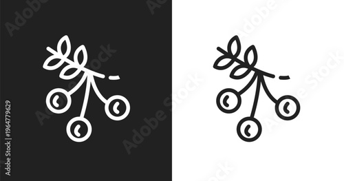 Rowan icon. Linear black, white icon from autumn collection. Outline rowan vector. Thin line symbol isolated on white and black background