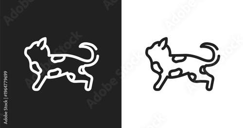 Toyger cat icon. Linear black, white icon from cat breed bodies collection. Outline toyger cat vector. Thin line symbol isolated on white and black background