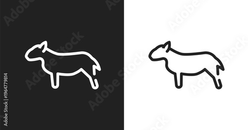 Bullterrier icon. Linear black, white icon from dog breeds fullbody collection. Outline bullterrier vector. Thin line symbol isolated on white and black background