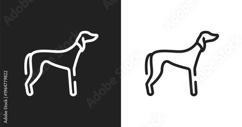 Saluki icon. Linear black, white icon from dog breeds fullbody collection. Outline saluki vector. Thin line symbol isolated on white and black background