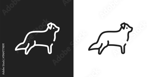 Bernese mountain icon. Linear black, white icon from dog breeds fullbody collection. Outline bernese mountain vector. Thin line symbol isolated on white and black background