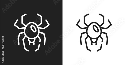 Spider black widow icon. Linear black, white icon from insects collection. Outline spider black widow vector. Thin line symbol isolated on white and black background