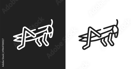 Locust icon. Linear black, white icon from insects collection. Outline locust vector. Thin line symbol isolated on white and black background