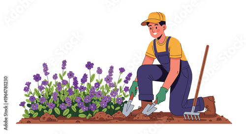 A smiling male gardener kneels, using a trowel and shovel to work soil beside a vibrant bed of purple lavender flowers.