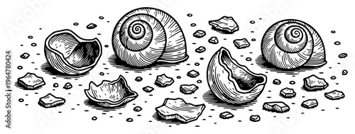 Snail shells and broken fragments scattered on a ground surface in vintage engraving style