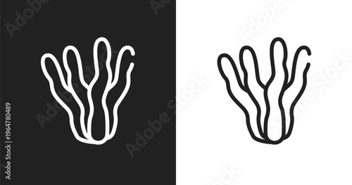 Algae icon. Linear black, white icon from pet shop lineal collection. Outline algae vector. Thin line symbol isolated on white and black background