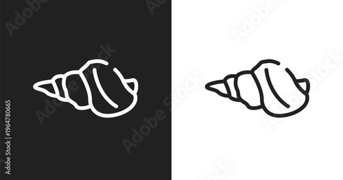 Conch icon. Linear black, white icon from minimal animals collection. Outline conch vector. Thin line symbol isolated on white and black background