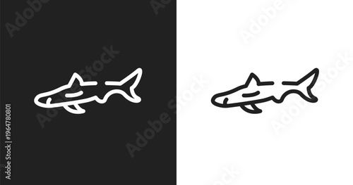 Big shark icon. Linear black, white icon from fauna collection. Outline big shark vector. Thin line symbol isolated on white and black background