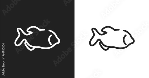 Big piranha icon. Linear black, white icon from fauna collection. Outline big piranha vector. Thin line symbol isolated on white and black background