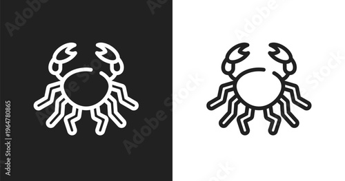 Big crab icon. Linear black, white icon from fauna collection. Outline big crab vector. Thin line symbol isolated on white and black background