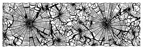 Spider web pattern with intricate silk threads in vintage engraving style
