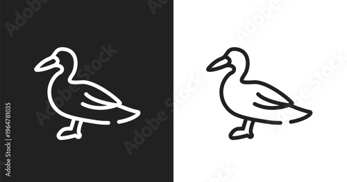 Wild duck icon. Linear black, white icon from free animals collection. Outline wild duck vector. Thin line symbol isolated on white and black background
