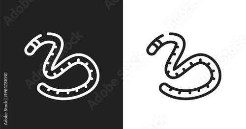 Earth worm icon. Linear black, white icon from free animals collection. Outline earth worm vector. Thin line symbol isolated on white and black background